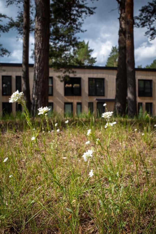 11 Pine View Lejlighed Ķesterciems Eksteriør billede