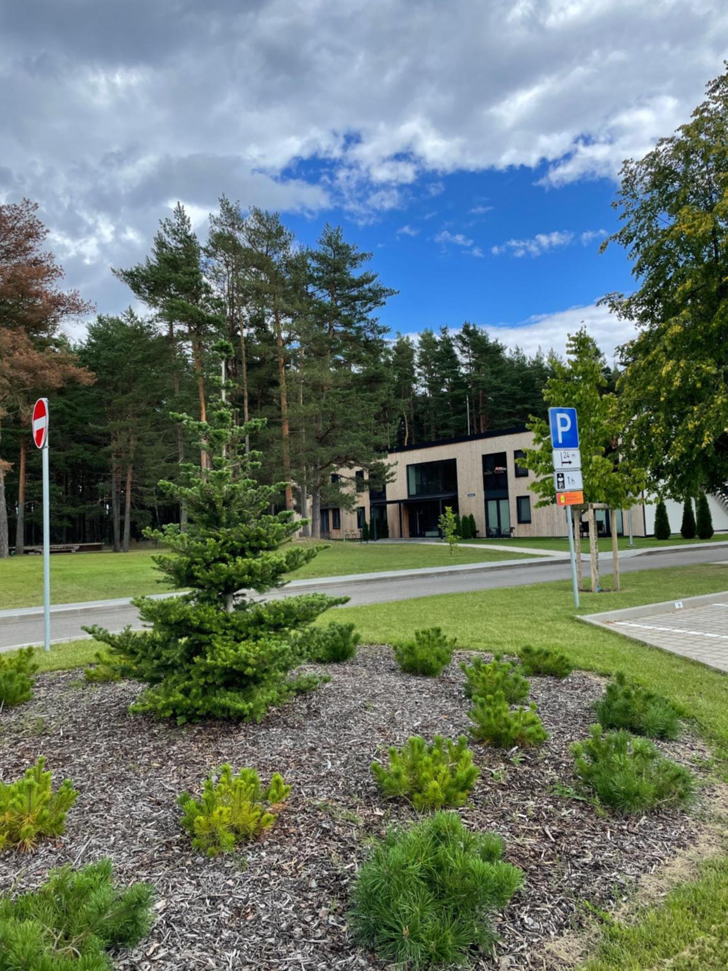 11 Pine View Lejlighed Ķesterciems Eksteriør billede